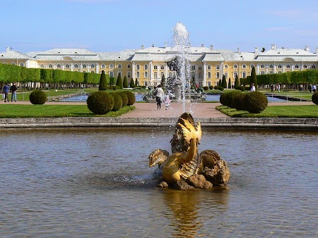 Circuit Rusia: Palat Petrodvaret