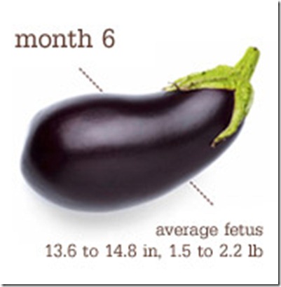 Eggplant - Month 6