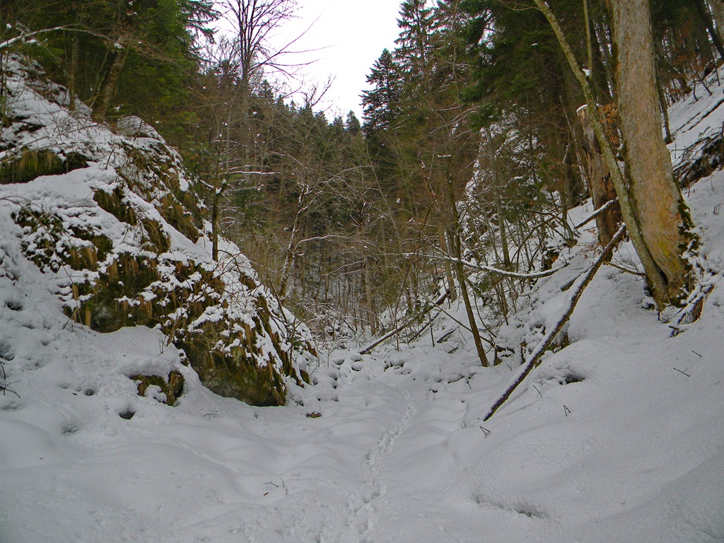 [DSCN35223.jpg]
