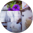 Death Shadow profielfoto