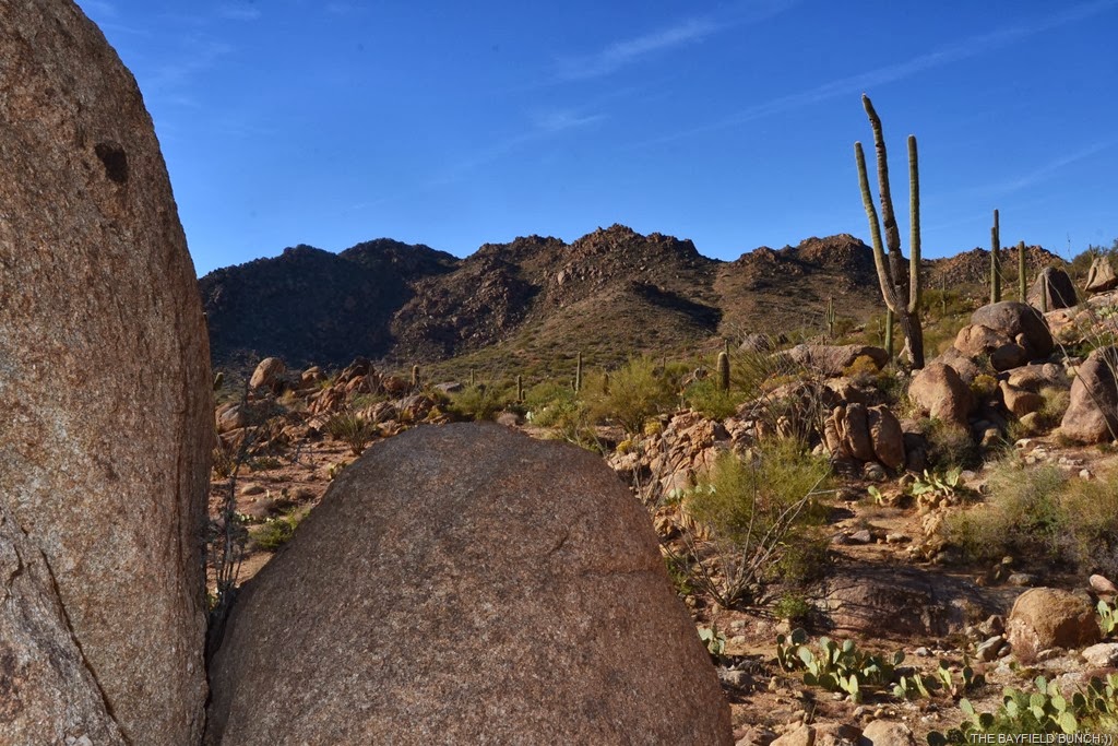 [DSC_0060%255B3%255D.jpg]