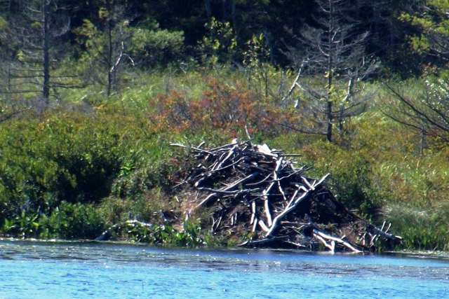 [Witch%2520Hole%2520Pond%252C%2520bike%25203%2520stone%2520bridges%252C%25206%2520wooden%2520174%255B3%255D.jpg]