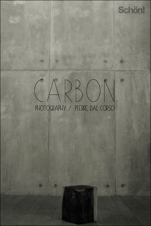 Pierre dal Corso -Carbon