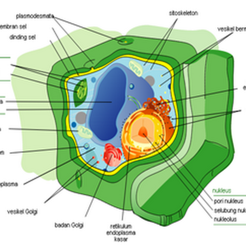 Kumpulan Artikel Biologi