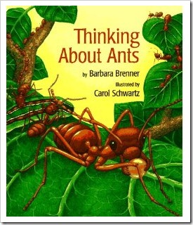 ants thinking about
