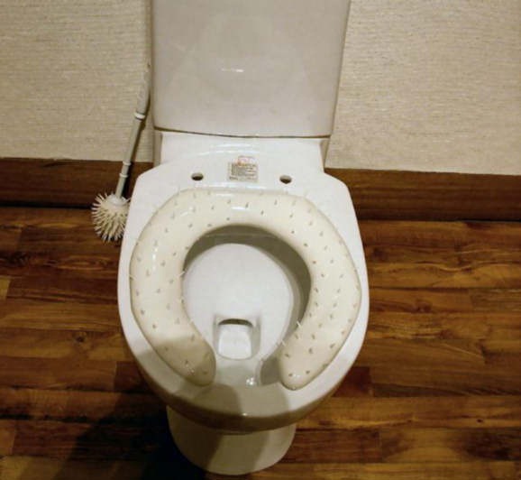 [studded-toilet-seat-plastic-points%255B2%255D.jpg]