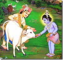 [Krishna and Balarama with cows]