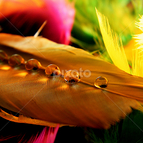 by Pinaki Ghosh - Artistic Objects Other Objects