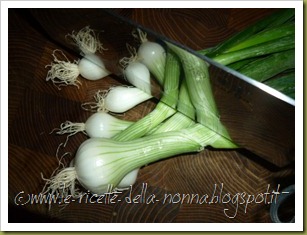 Vermicelli di riso saltati con maiale, verdure, zenzero e peperoncino verde piccante (3)