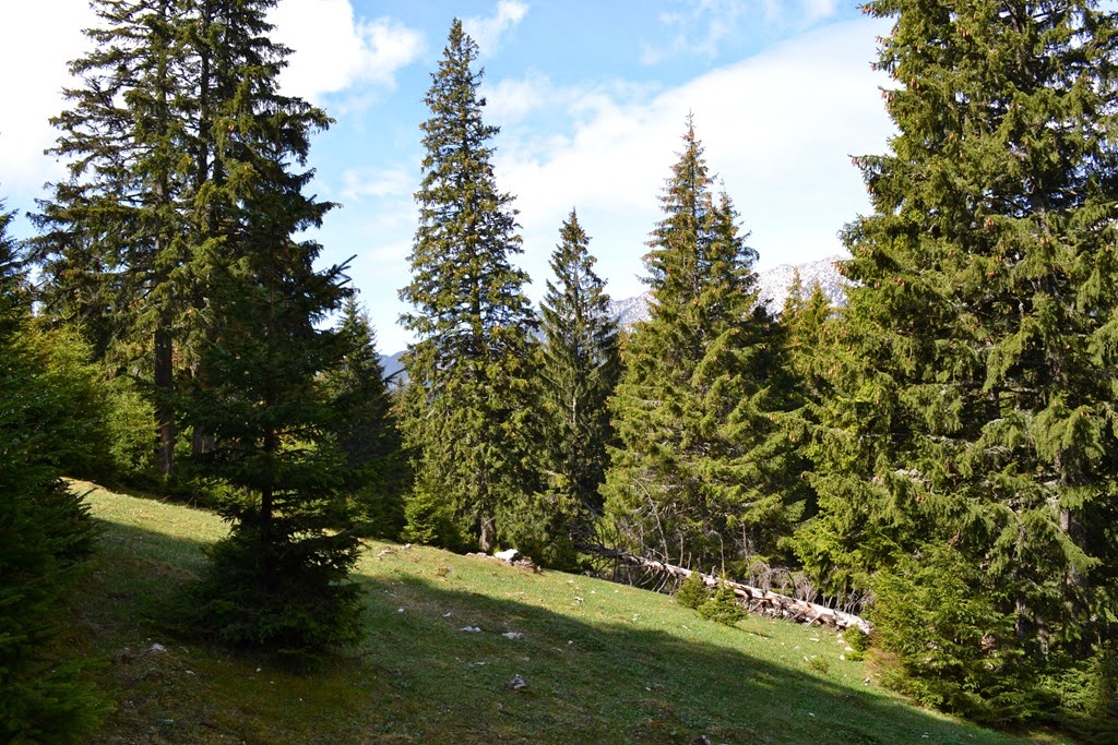 [DSC_78693.jpg]