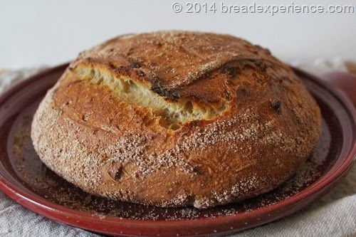 [roasted-onion-spelt-einkorn-levain_962%255B4%255D.jpg]