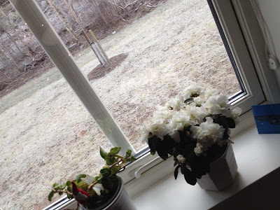 1 - Ny dag, nytt år, nya möjligheter