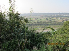 IMG_7582