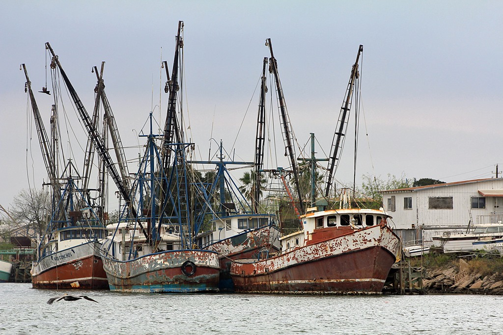 [Port-of-Brownsville-Tour-Shrimp-boat%255B2%255D.jpg]
