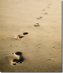 footprint3