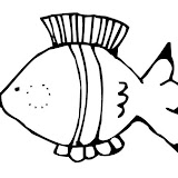 Animals-Fish-1.jpg