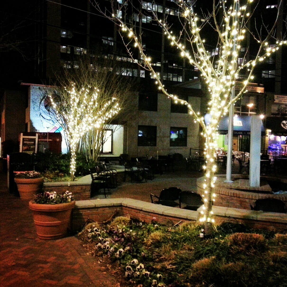 Robert Dyer Bethesda Row HOLIDAY LIGHTS IN VETERANS PARK (PHOTOS)