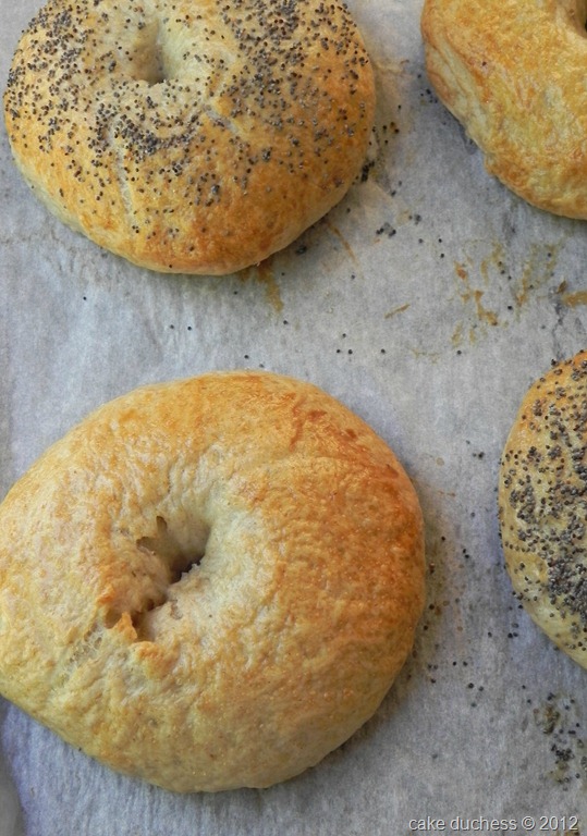 [poppy-seed-bagels-tuesdays-with-dorie-3%255B6%255D.jpg]
