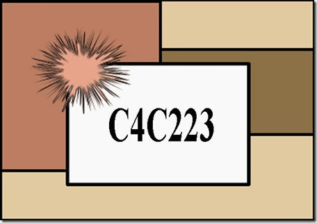 C4C223