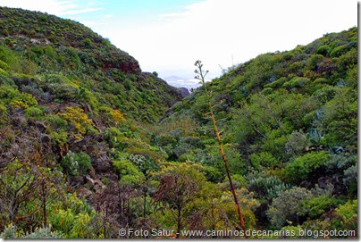 7694 Temisas-El Pinillo(Barranco del Pino) 7694 Temisas-El Pinillo(Barranco del Pino)