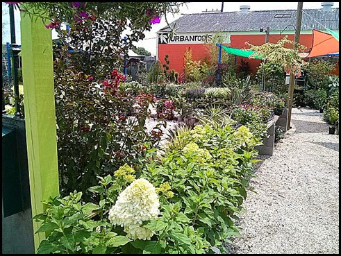 urban-roots-garden-center-new-orleans-la