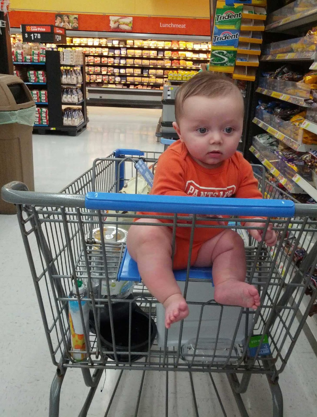 Everett Reid Big boy in the shopping cart.