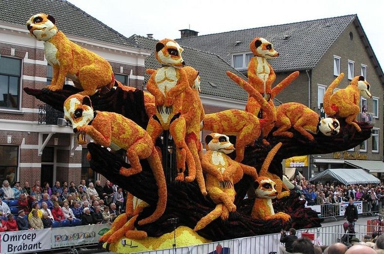 bloemencorso-20 bloemencorso-20