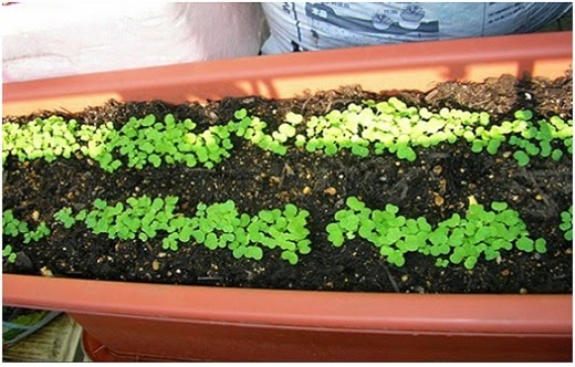 [clip_image005%255B4%255D.jpg]