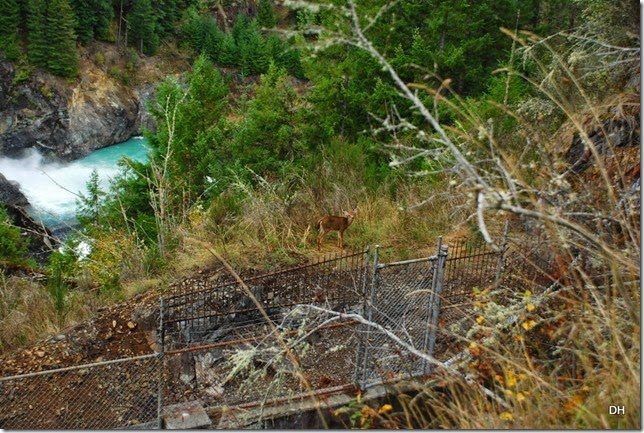 09-26-14 Alder Lake Area (52)