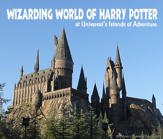 Wizarding World of Harry Potter by Mom'sGonnaSnap 