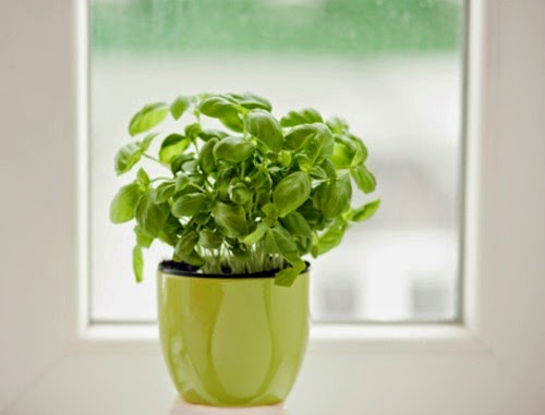 [clip_image004%255B3%255D.jpg]