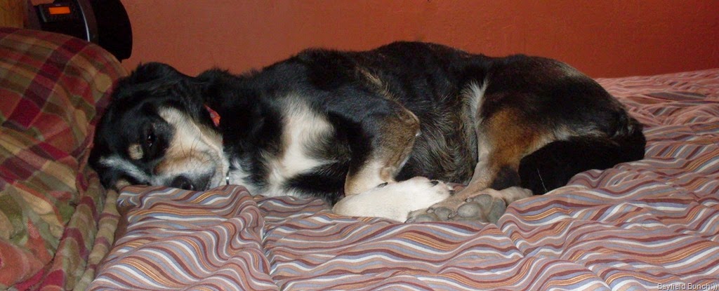 [SDC10034%255B3%255D.jpg]