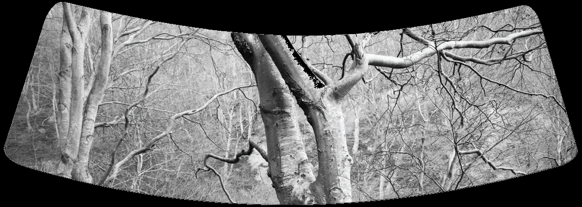 [image%255B5%255D.png]