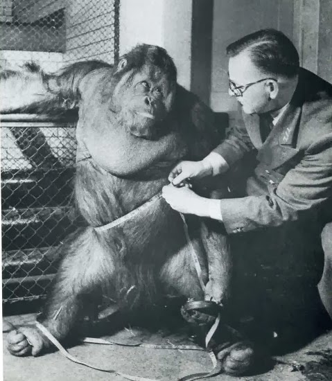 [clip_image015%255B5%255D.jpg]