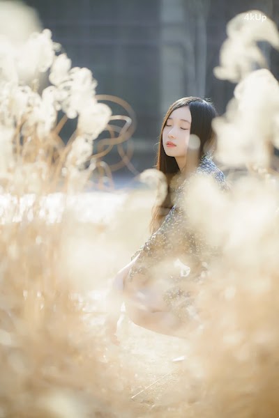 Bambi (밤비) Lacerta Photography