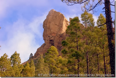 7501 La Goleta-Tejeda(Roque Nublo) 7501 La Goleta-Tejeda(Roque Nublo)