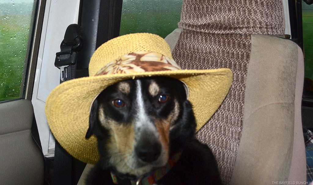 [DSC_0008%255B9%255D.jpg]