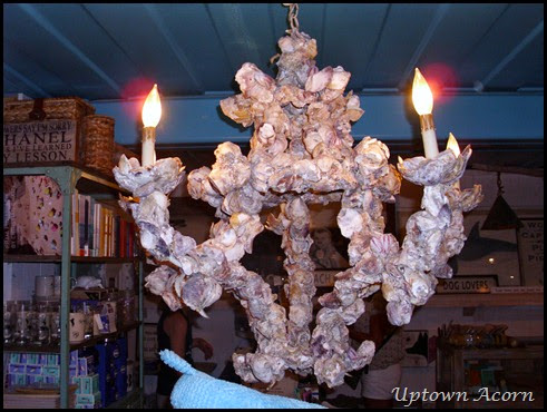oyster chandelier
