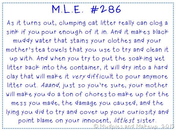 Cat Litter Story