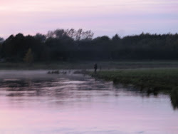 Skjern Au _ Oktober 2012 - 109