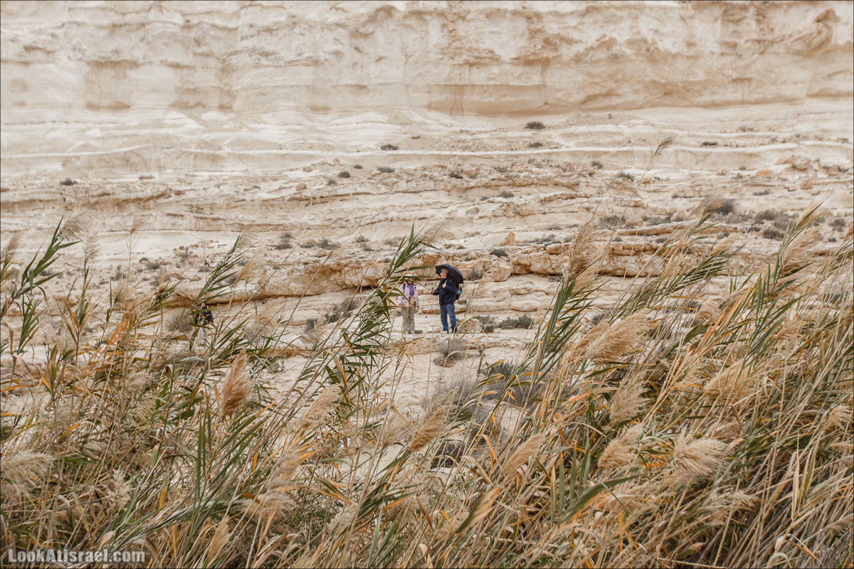 Ручей Акев и источник Эйн Акев в пустыне Негев. LookAtIsrael.com - Фото путешествия по Израилю