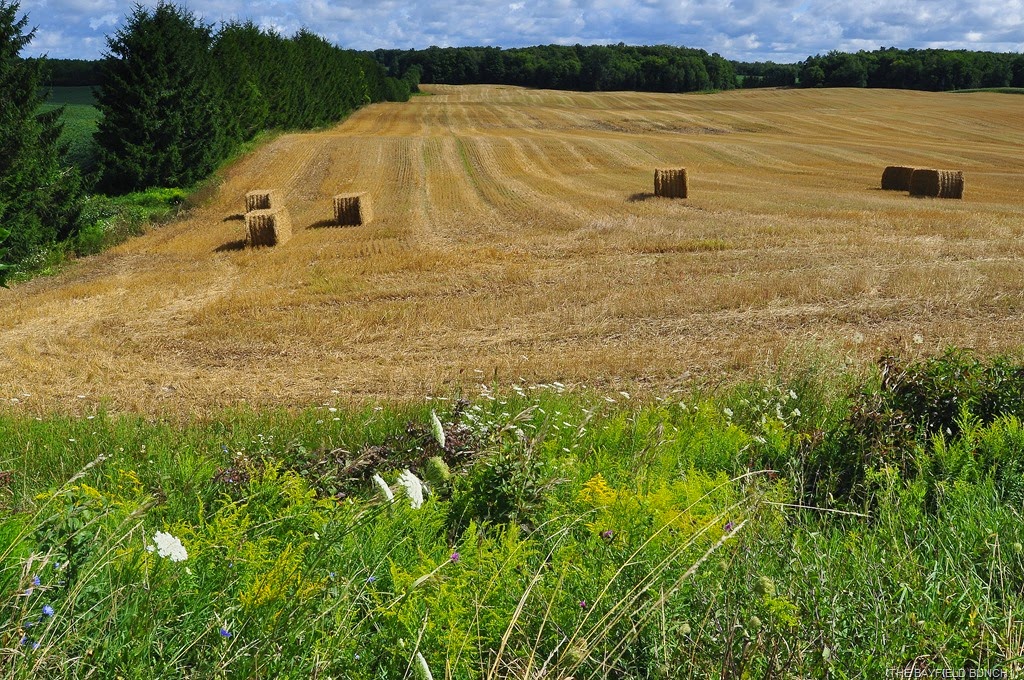 [DSC_0039%255B4%255D.jpg]