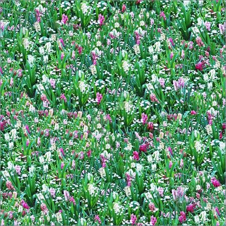 [Flower-Meadow-Seamless-Pattern-1135106%255B3%255D.jpg]
