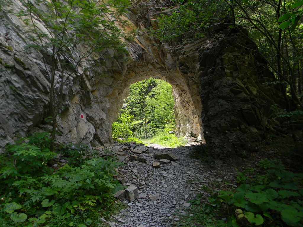 [DSCN41373.jpg]