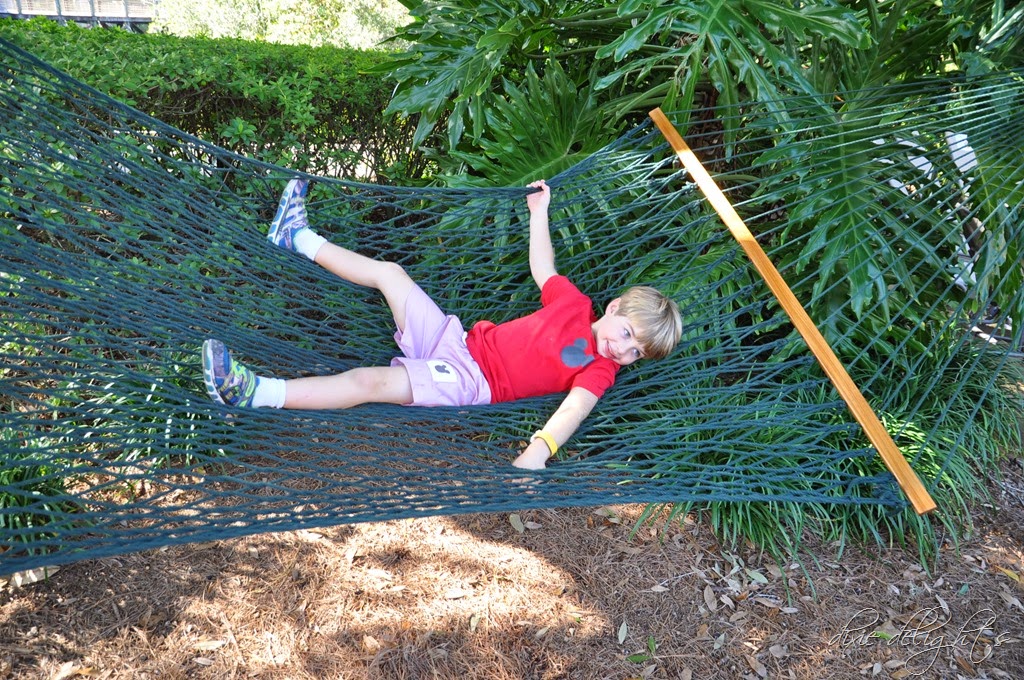 [DSC_0035%255B7%255D.jpg]