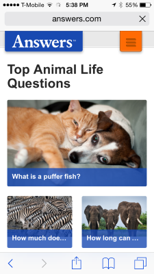 Screenshot of www.answers.com with iPhone