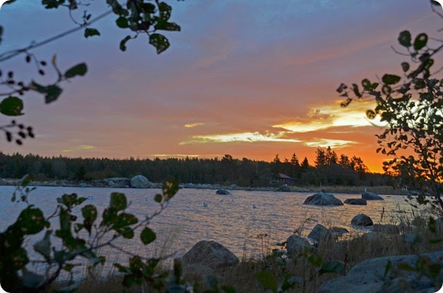 DSC_0011 DSC_0011