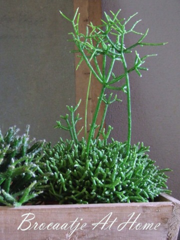 [20110827_9%255B3%255D.jpg]