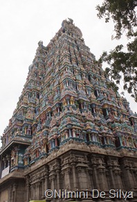 2013 01 09 Madurai (2 of 120)