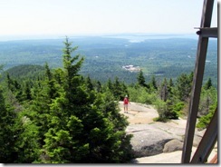 View from the Fire Tower